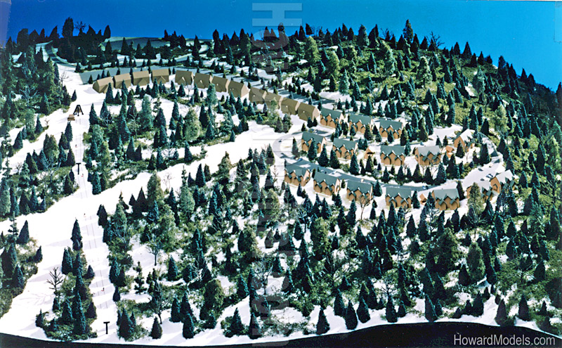 Relief Maps -  SnowShoe Ski Resort Relief Map - Location Model-01