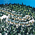 Ski Resort Topography Model