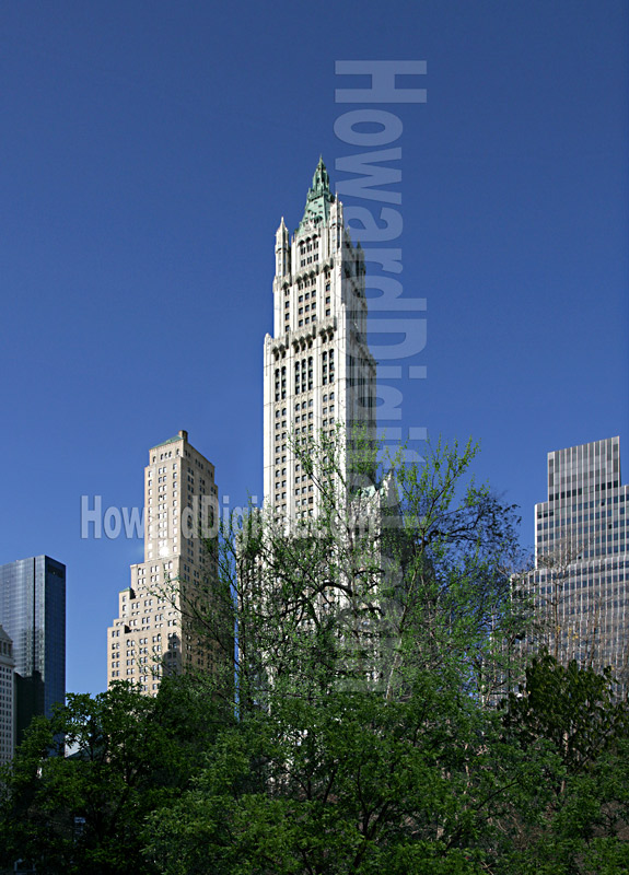 Woolworth Building  New York