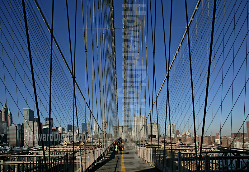 Brooklyn Bridge Suspension