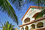 Palms Beach Photography