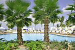 Ritz-Carlton Resort Pool